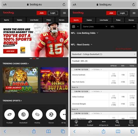 bodog sports betting canada|Bodog Sports betting.